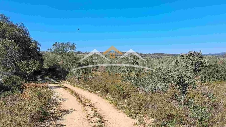 Terreno Agricola ou Rústico para Venda em Chãos