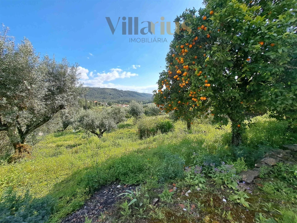 Moradia T3 para Venda em Olalhas Foto 14