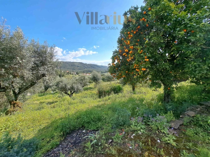 Moradia T3 para Venda em Olalhas Foto 14