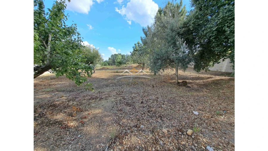 Terreno para Venda em Igreja Nova do Sobral Foto 4