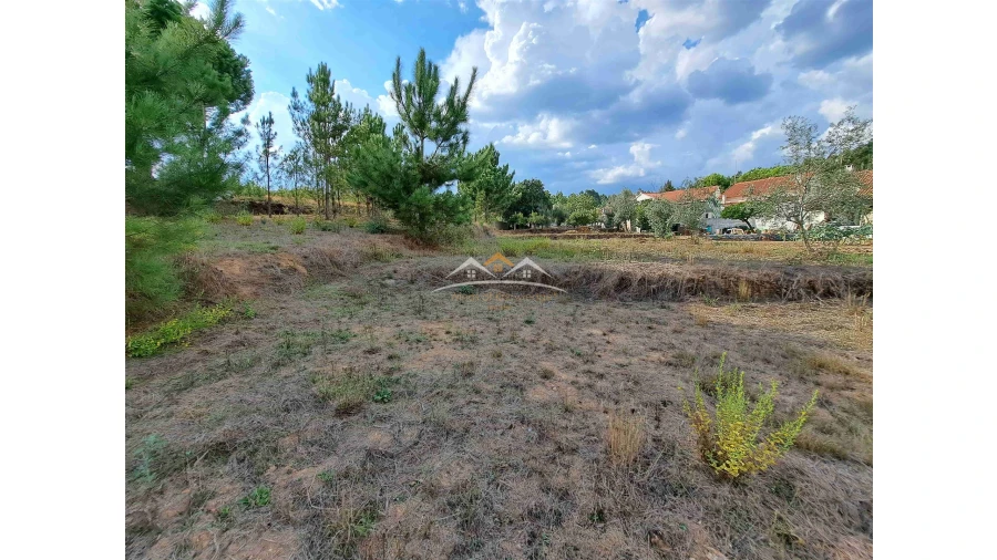 Terreno para Venda em Igreja Nova do Sobral Foto 5
