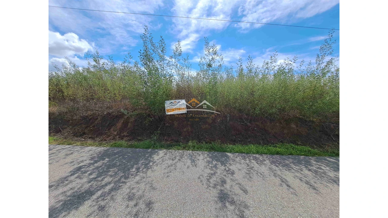 Terreno Agricola ou Rústico para Venda em São Pedro de Tomar Foto 1