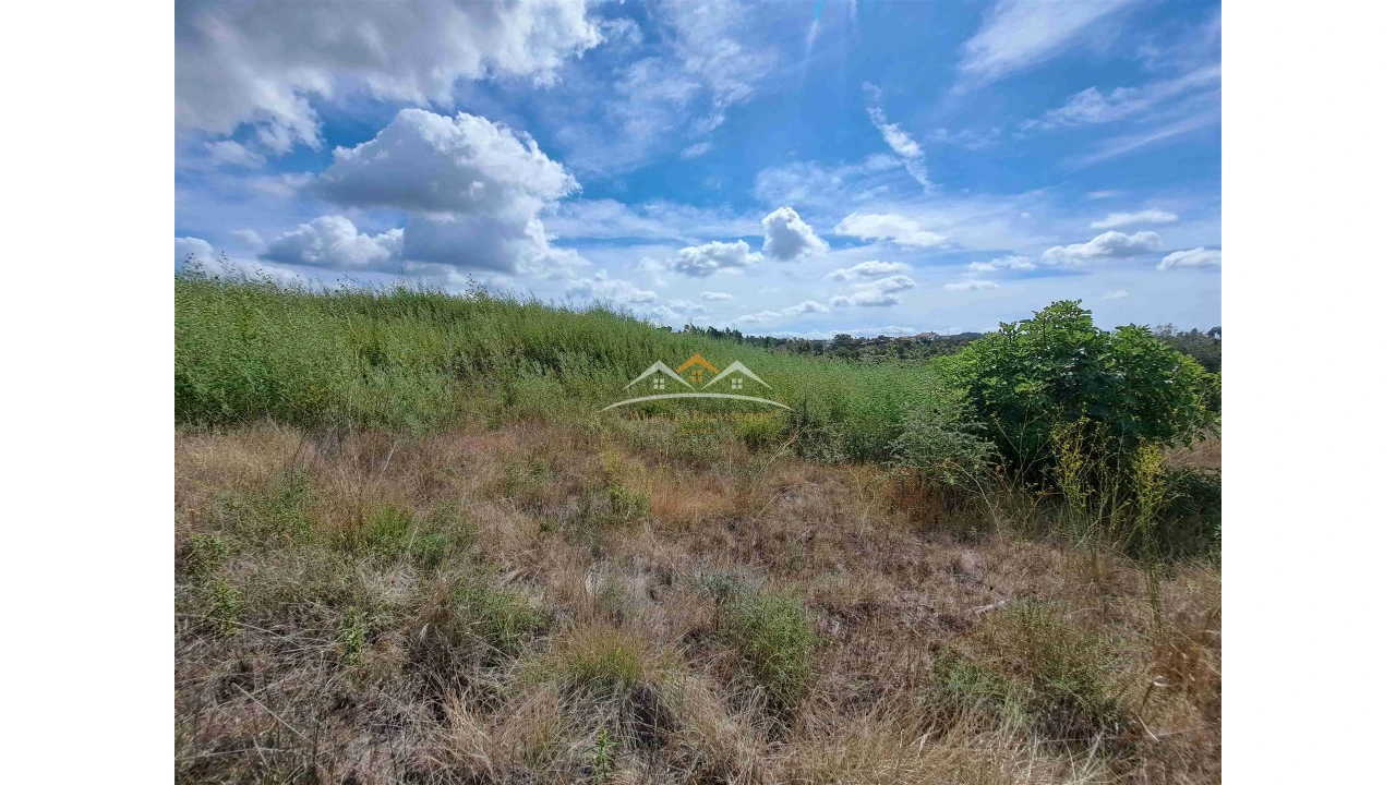 Terreno Agricola ou Rústico para Venda em São Pedro de Tomar Foto 5