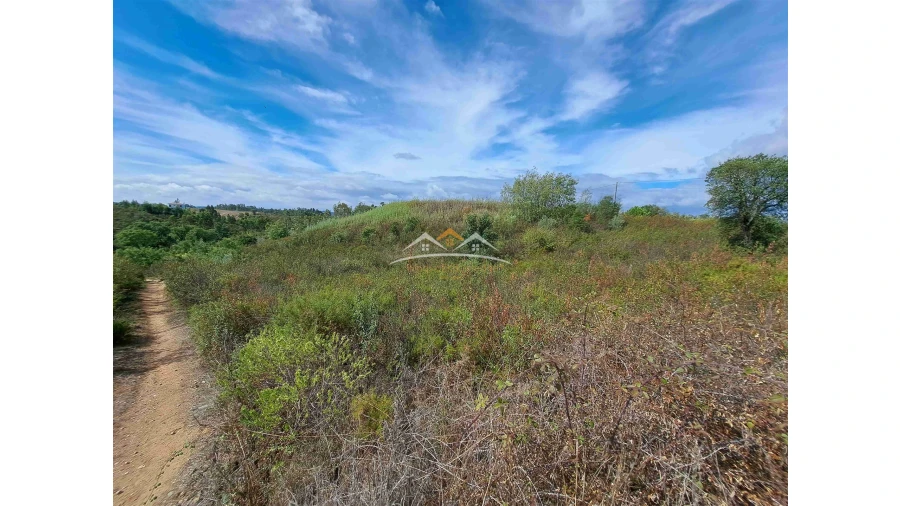 Terreno Agricola ou Rústico para Venda em São Pedro de Tomar Foto 8