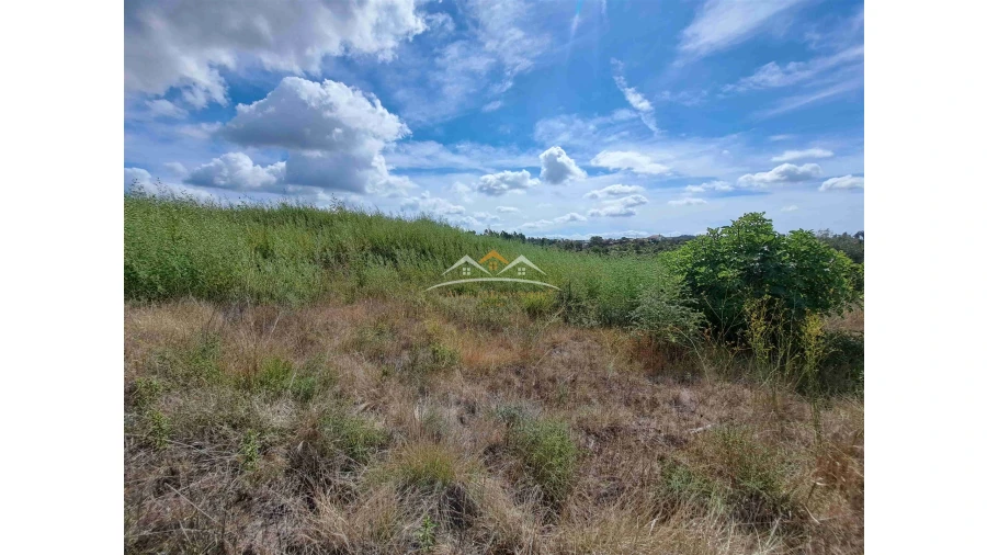 Terreno Agricola ou Rústico para Venda em São Pedro de Tomar Foto 5