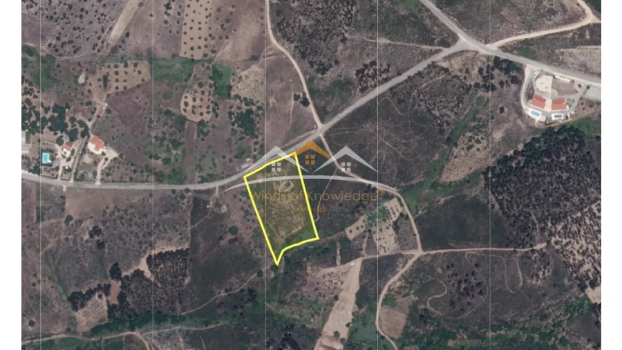 Terreno Agricola ou Rústico para Venda em São Pedro de Tomar Foto 10