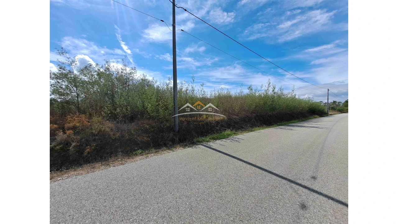 Terreno Agricola ou Rústico para Venda em São Pedro de Tomar Foto 3