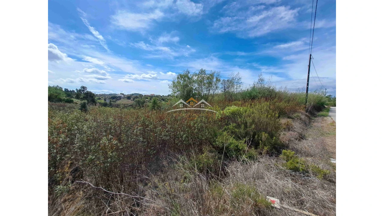 Terreno Agricola ou Rústico para Venda em São Pedro de Tomar Foto 6