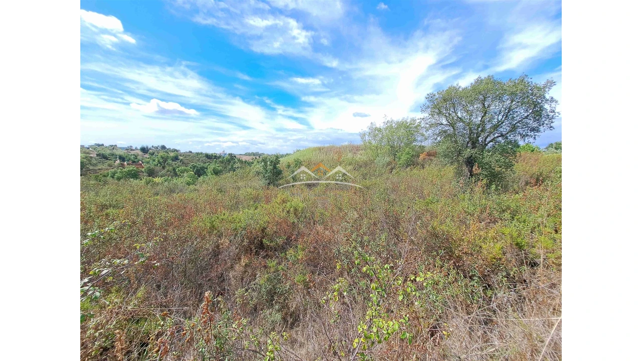 Terreno Agricola ou Rústico para Venda em São Pedro de Tomar Foto 7