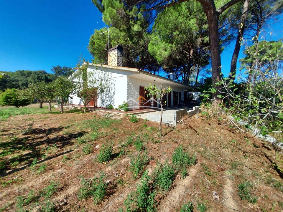 Moradia T4 para Venda em Madalena e Beselga Foto 4