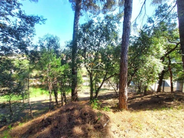 Moradia T4 para Venda em Madalena e Beselga