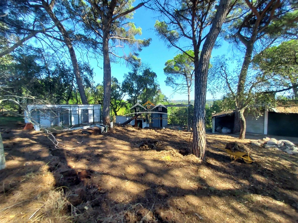 Moradia T4 para Venda em Madalena e Beselga Foto 42