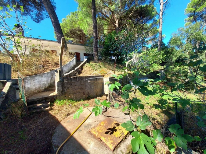 Moradia T4 para Venda em Madalena e Beselga Foto 40