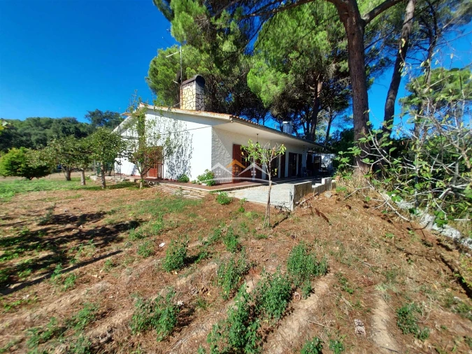 Moradia T4 para Venda em Madalena e Beselga Foto 4