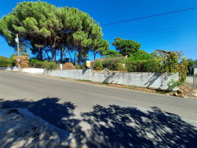 Moradia T4 para Venda em Madalena e Beselga Foto 57