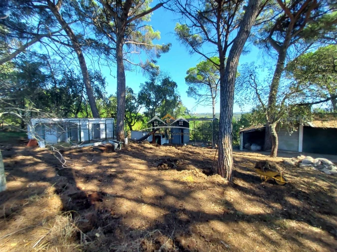 Moradia T4 para Venda em Madalena e Beselga Foto 42