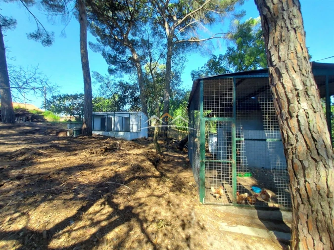 Moradia T4 para Venda em Madalena e Beselga Foto 47
