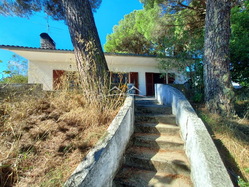 Moradia T4 para Venda em Madalena e Beselga Foto 14