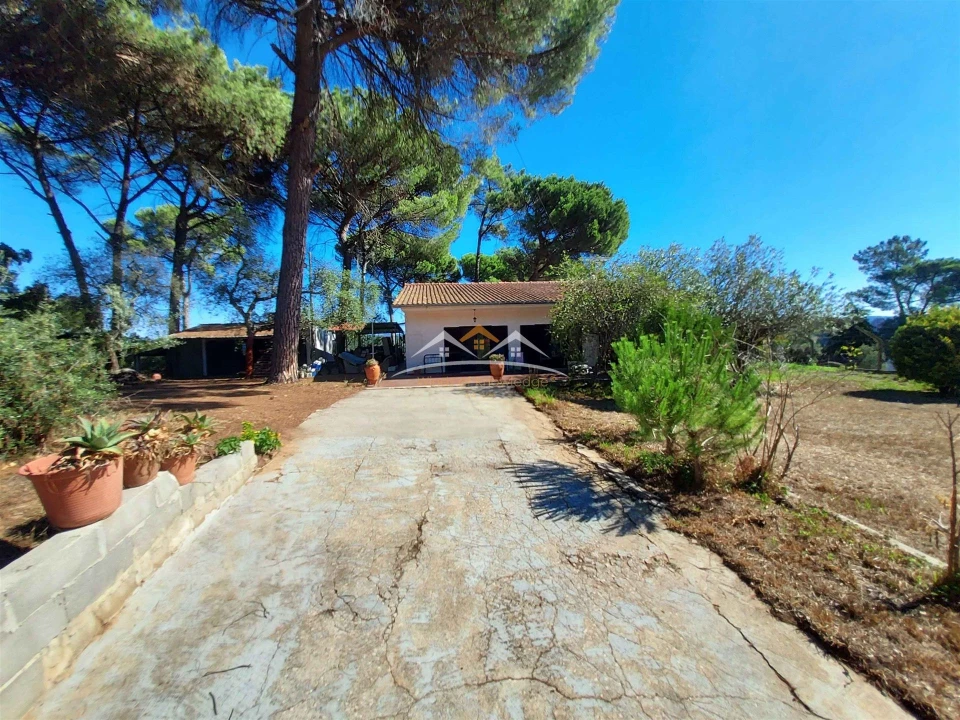 Moradia T4 para Venda em Madalena e Beselga Foto 10