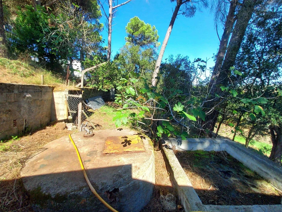 Moradia T4 para Venda em Madalena e Beselga Foto 43