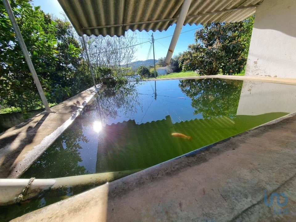 Prédio para Venda em Loule (São Sebastião) Foto 5