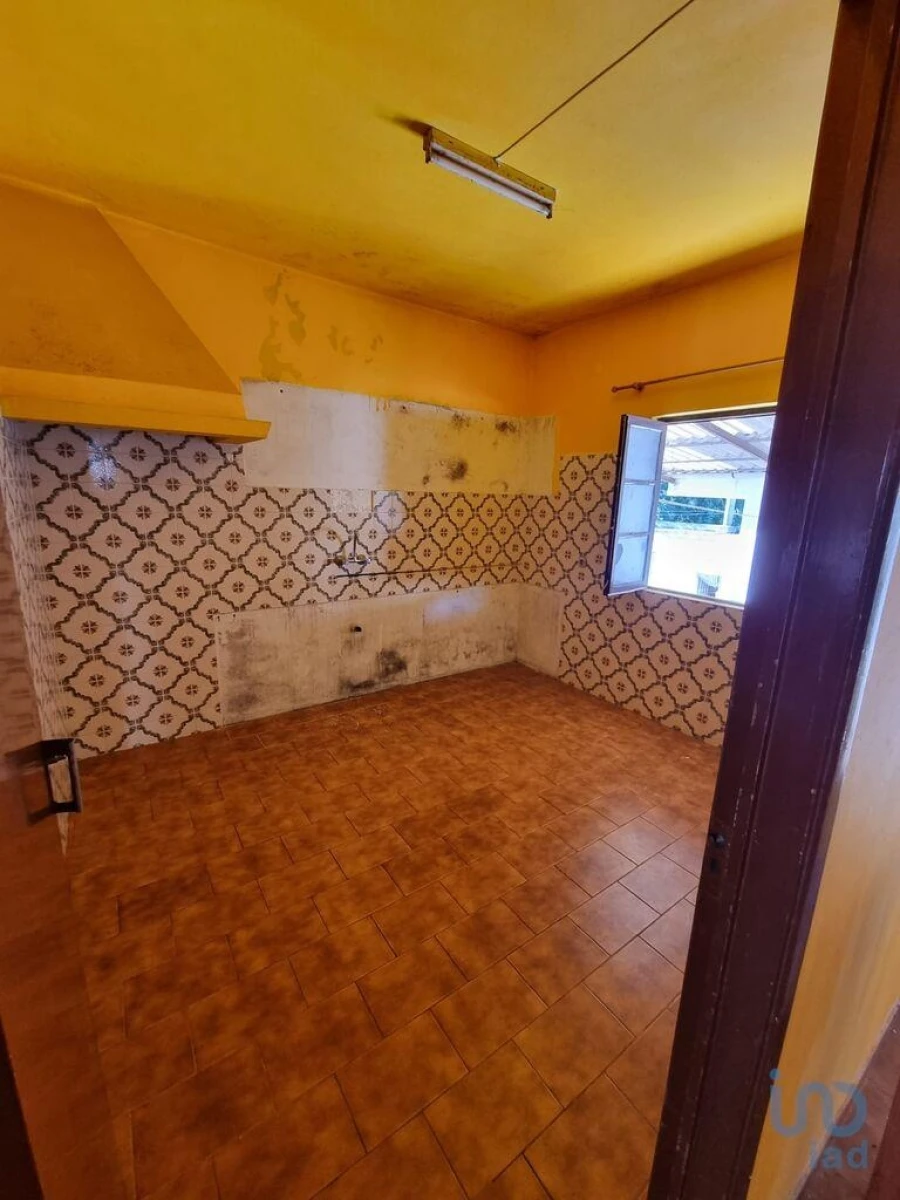 Prédio para Venda em Loule (São Sebastião) Foto 2