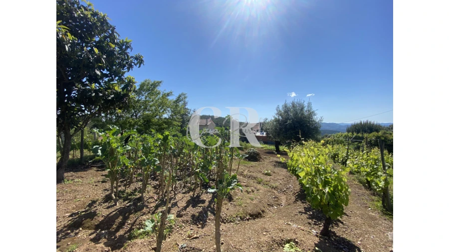 Moradia T3 para Venda em Arega Foto 50