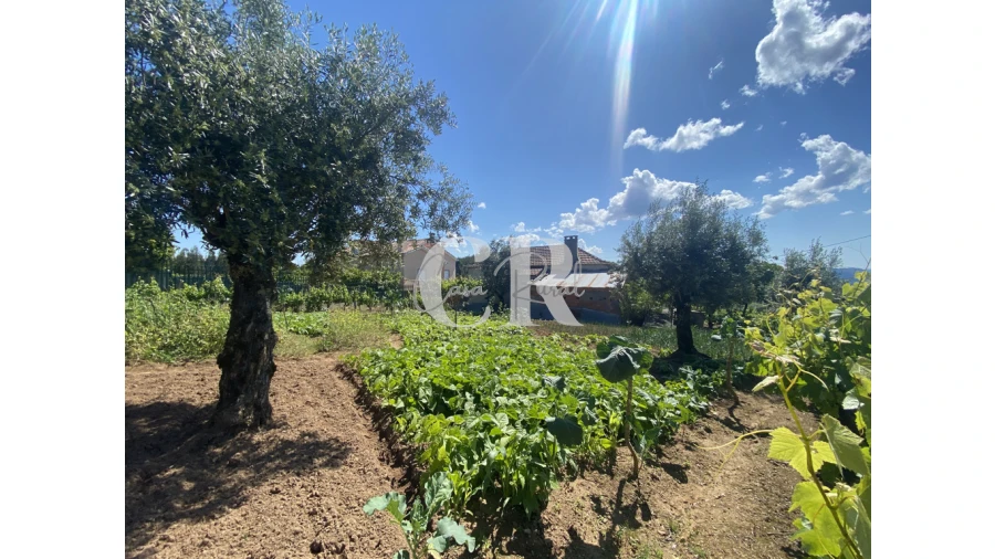 Moradia T3 para Venda em Arega Foto 55