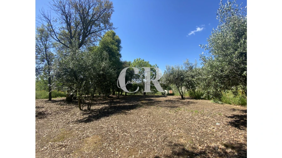 Moradia T3 para Venda em Arega Foto 56