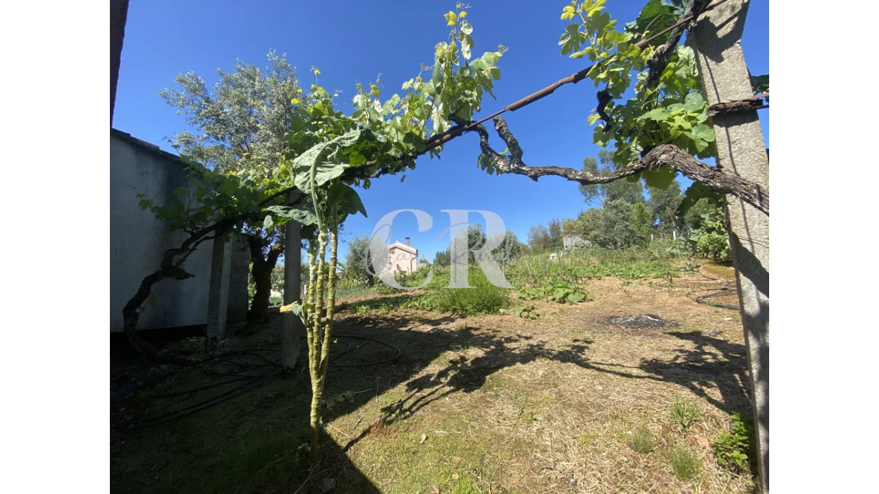 Moradia T3 para Venda em Arega Foto 48