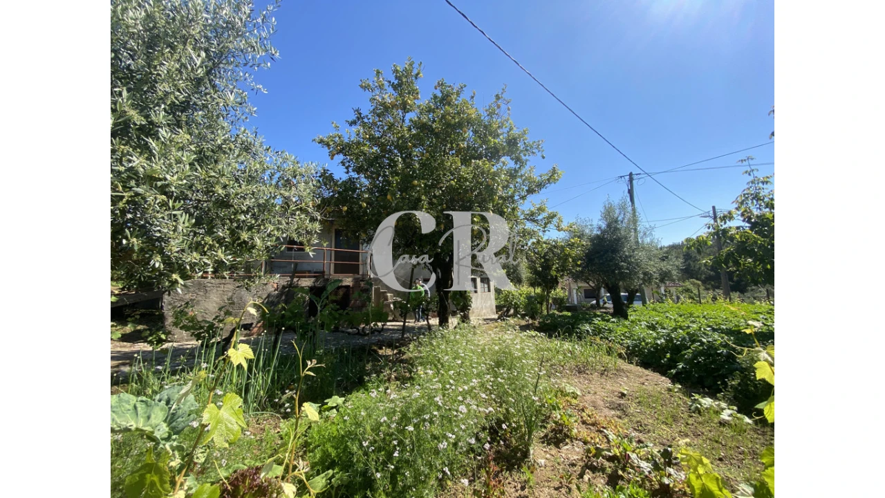 Moradia T3 para Venda em Arega Foto 51