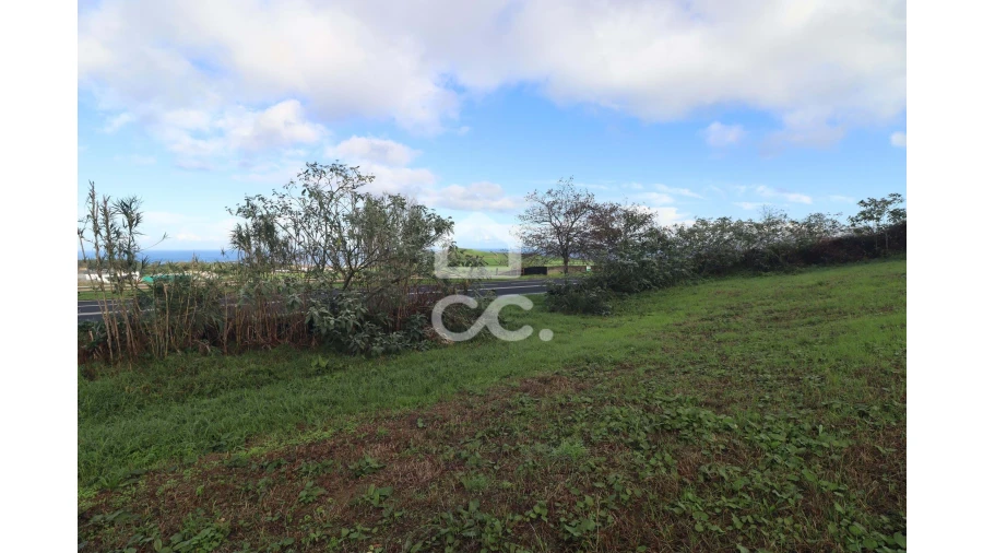 Terreno para Venda em Ribeira Seca Foto 9