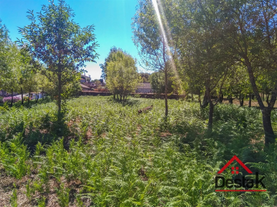 Quinta T0 para Venda em Santos Evos Foto 28