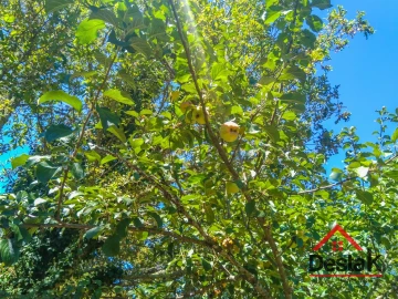 Quinta T0 para Venda em Santos Evos