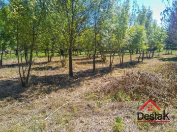 Quinta T0 para Venda em Santos Evos