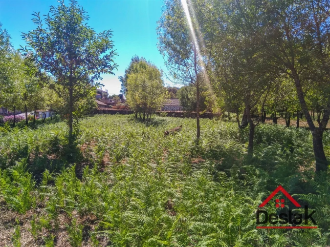 Quinta T0 para Venda em Santos Evos Foto 28