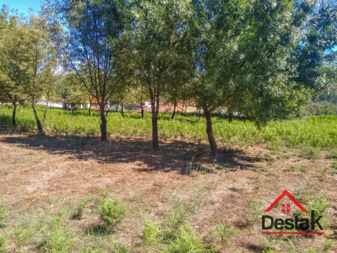 Quinta T0 para Venda em Santos Evos Foto 17