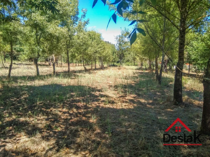 Quinta T0 para Venda em Santos Evos Foto 19
