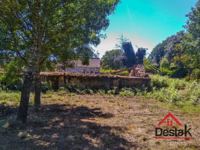Quinta T0 para Venda em Santos Evos Foto 29