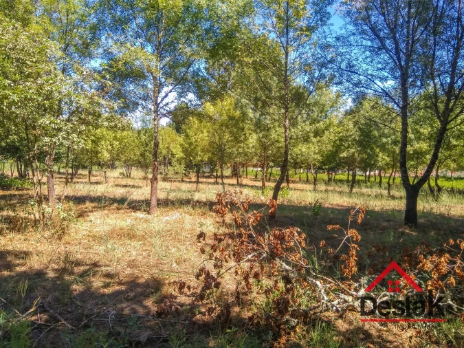 Quinta T0 para Venda em Santos Evos Foto 24