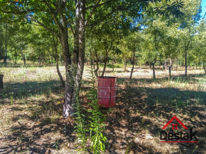 Quinta T0 para Venda em Santos Evos Foto 20