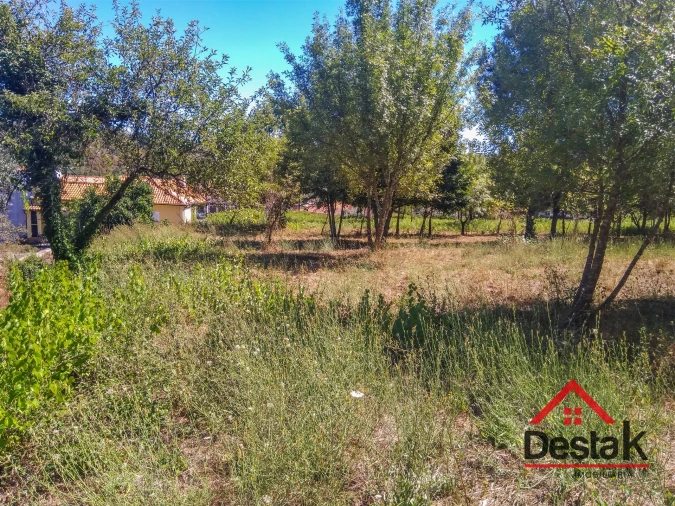 Quinta T0 para Venda em Santos Evos Foto 27
