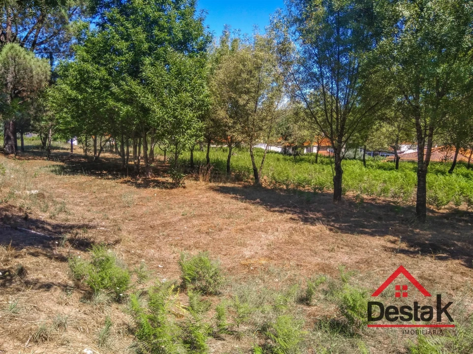 Quinta T0 para Venda em Santos Evos Foto 18