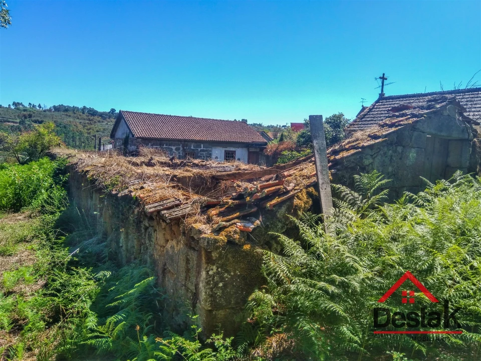 Quinta T0 para Venda em Santos Evos Foto 16