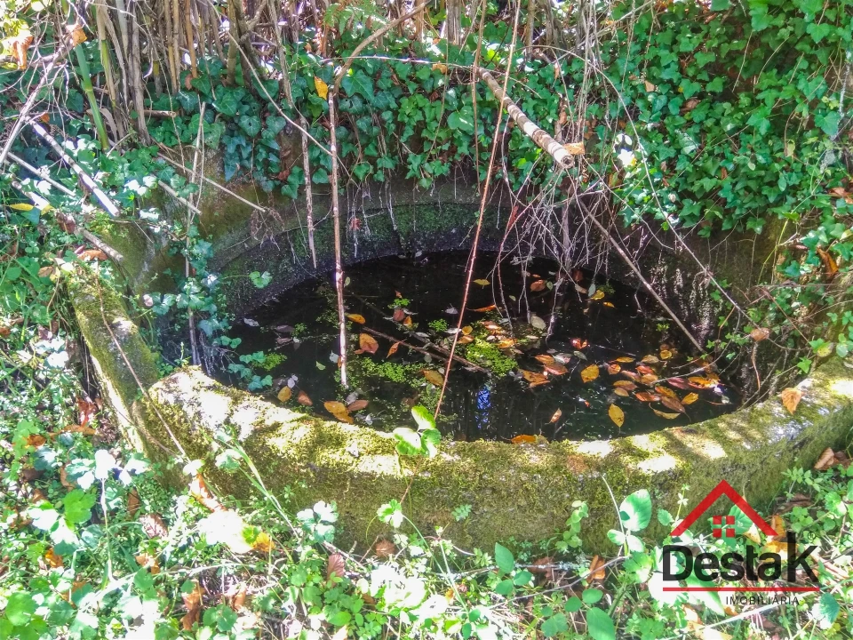 Quinta T0 para Venda em Santos Evos Foto 25