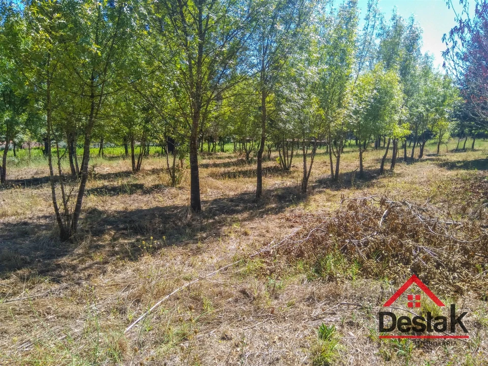 Quinta T0 para Venda em Santos Evos Foto 26
