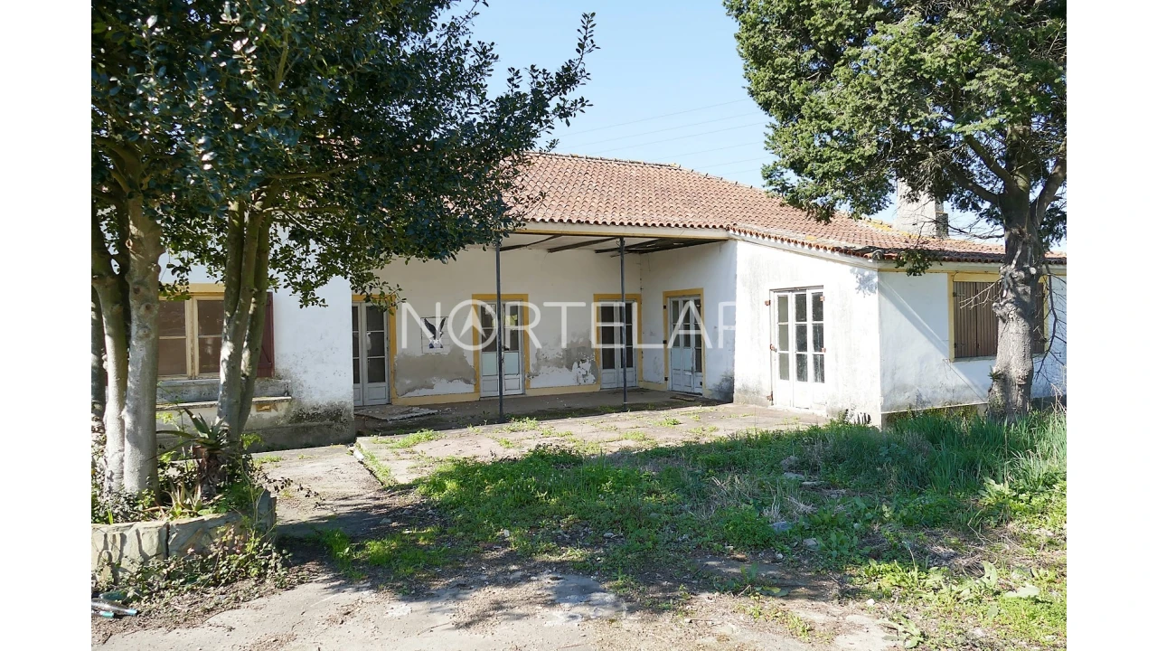 Moradia T3 para Venda em Ribeirão Foto 4