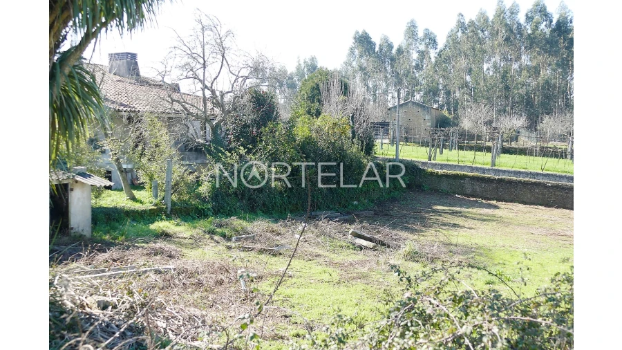 Moradia T3 para Venda em Ribeirão Foto 13