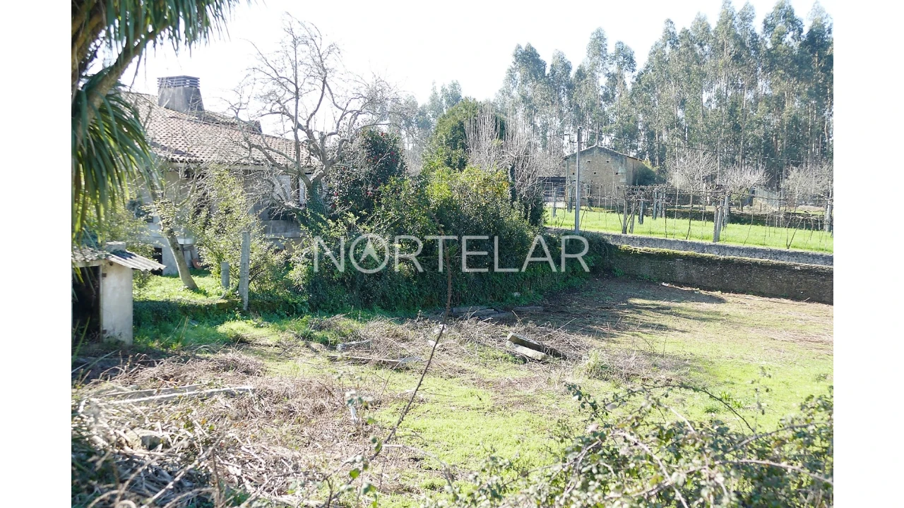 Moradia T3 para Venda em Ribeirão Foto 6