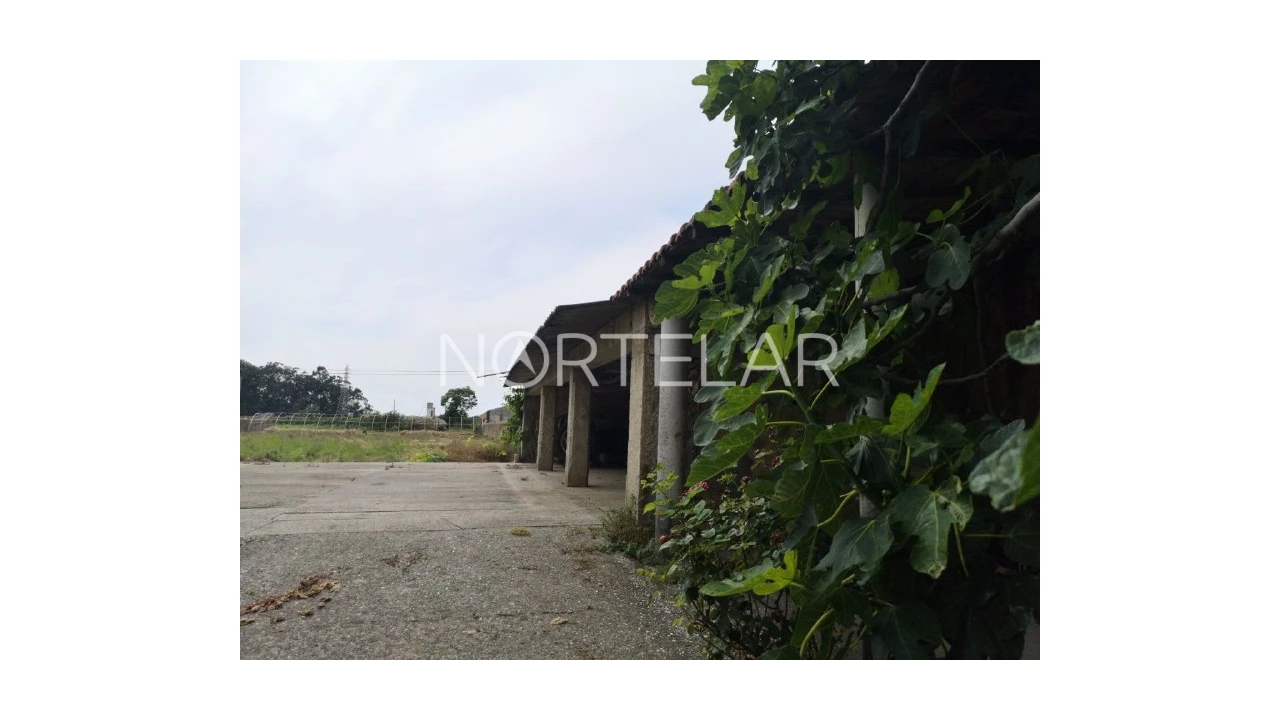Terreno para Venda em Póvoa de Varzim, Beiriz e Argivai Foto 1